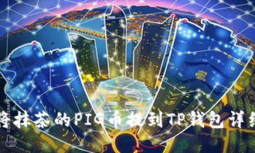 如何将抹茶的PIG币提到TP钱包详细指南
