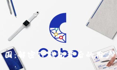 tp钱包的社区氛围：解密TP钱包背后的用户互动与社群文化