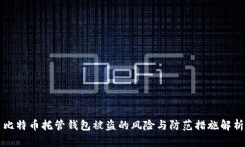 比特币托管钱包被盗的风险与防范措施解析