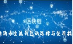 狗狗币主流钱包的选择与