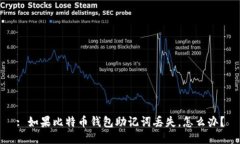 : 如果比特币钱包助记词丢