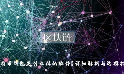 比特币钱包是什么样的软件？详细解析与选择指南