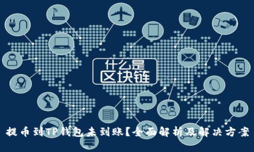 提币到TP钱包未到账？全面解析及解决方案