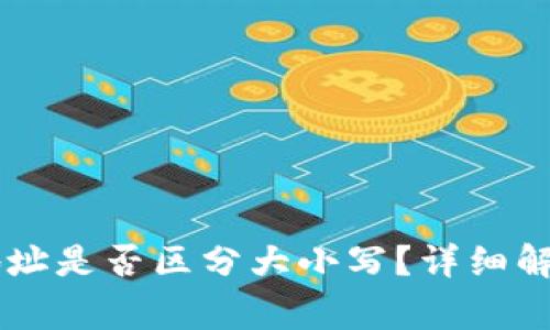 : USDT钱包收币地址是否区分大小写？详细解析与常见问题解答