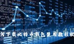 如何下载比特币钱包使用