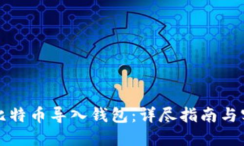 如何将比特币导入钱包：详尽指南与实用技巧