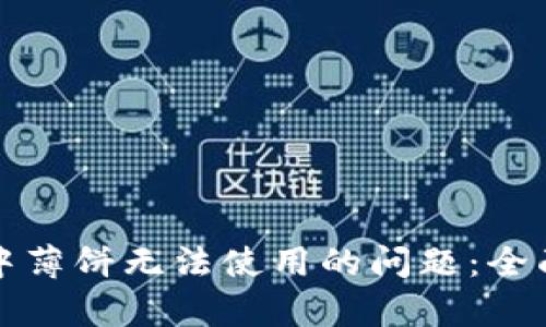 如何解决TP钱包中薄饼无法使用的问题：全面解析与解决方案