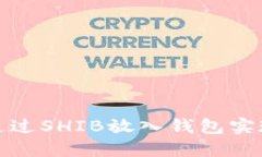 如何通过SHIB放入钱包实现