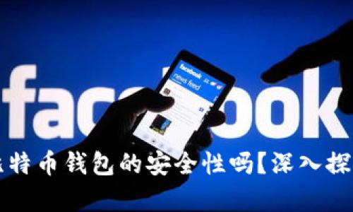 你相信比特币钱包的安全性吗？深入探讨与分析