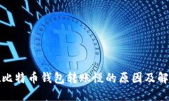 biasot比特币钱包转账慢的