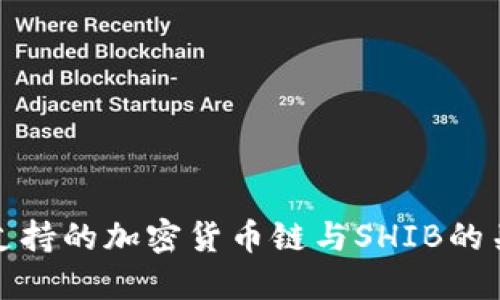 TP钱包支持的加密货币链与SHIB的关联详解