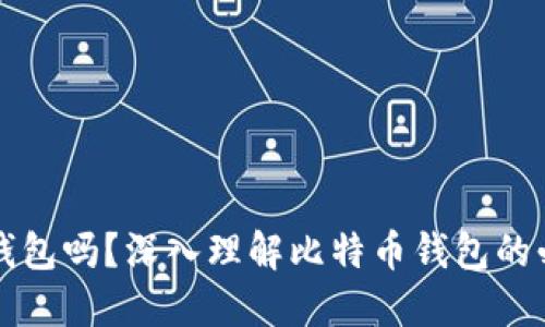比特币需要钱包吗？深入理解比特币钱包的必要性与功能