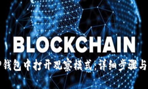 如何在TP钱包中打开观察模式：详细步骤与注意事项