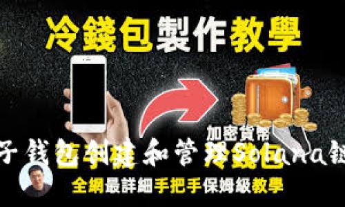 : 如何使用麦子钱包创建和管理Solana链上的数字资产