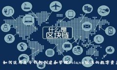 : 如何使用麦子钱包创建和