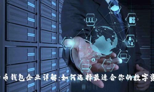 2023年比特币钱包企业详解：如何选择最适合你的数字资产保管方案