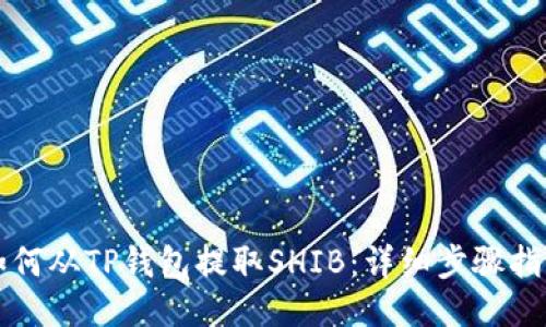 如何从TP钱包提取SHIB：详细步骤指南