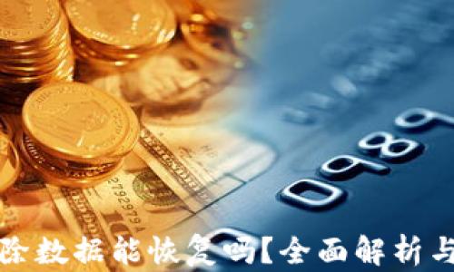 
TP钱包删除数据能恢复吗？全面解析与操作指南