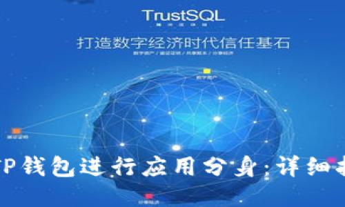 如何使用TP钱包进行应用分身：详细指南与技巧