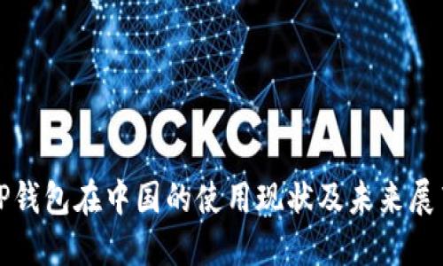 TP钱包在中国的使用现状及未来展望