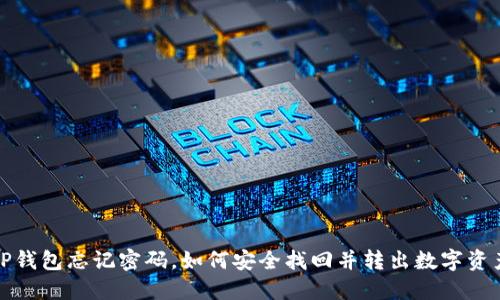 TP钱包忘记密码，如何安全找回并转出数字资产