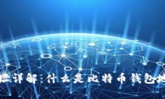 比特币钱包地址详解：什