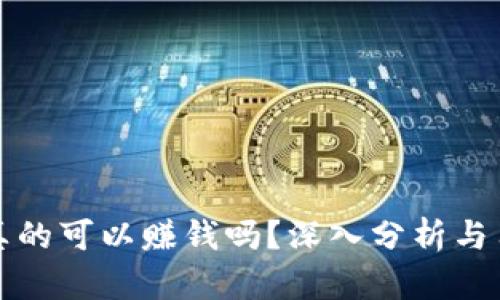TP钱包真的可以赚钱吗？深入分析与用户指南