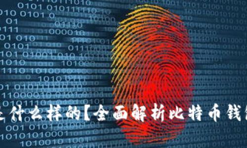 最好的比特币钱包是什么样的？全面解析比特币钱包的选择标准与推荐