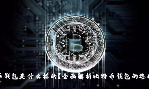 最好的比特币钱包是什么样的？全面解析比特币钱包的选择标准与推荐