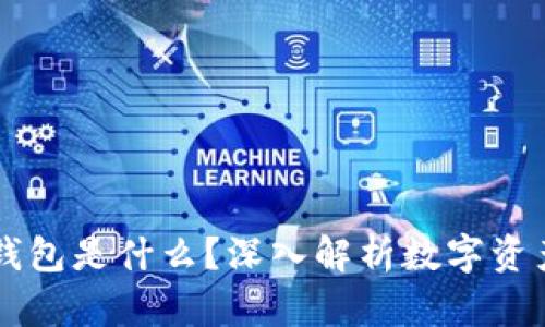 ### TP钱包是什么？深入解析数字资产管理工具