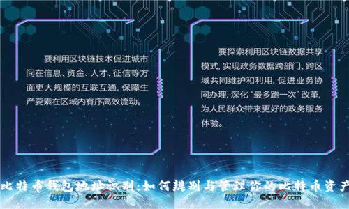 比特币钱包地址识别：如何辨别与管理你的比特币资产
