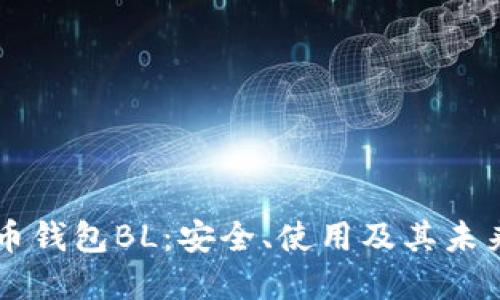比特币钱包BL：安全、使用及其未来展望