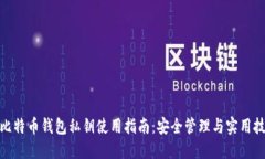 : 比特币钱包私钥使用指南：安全管理与实用技巧